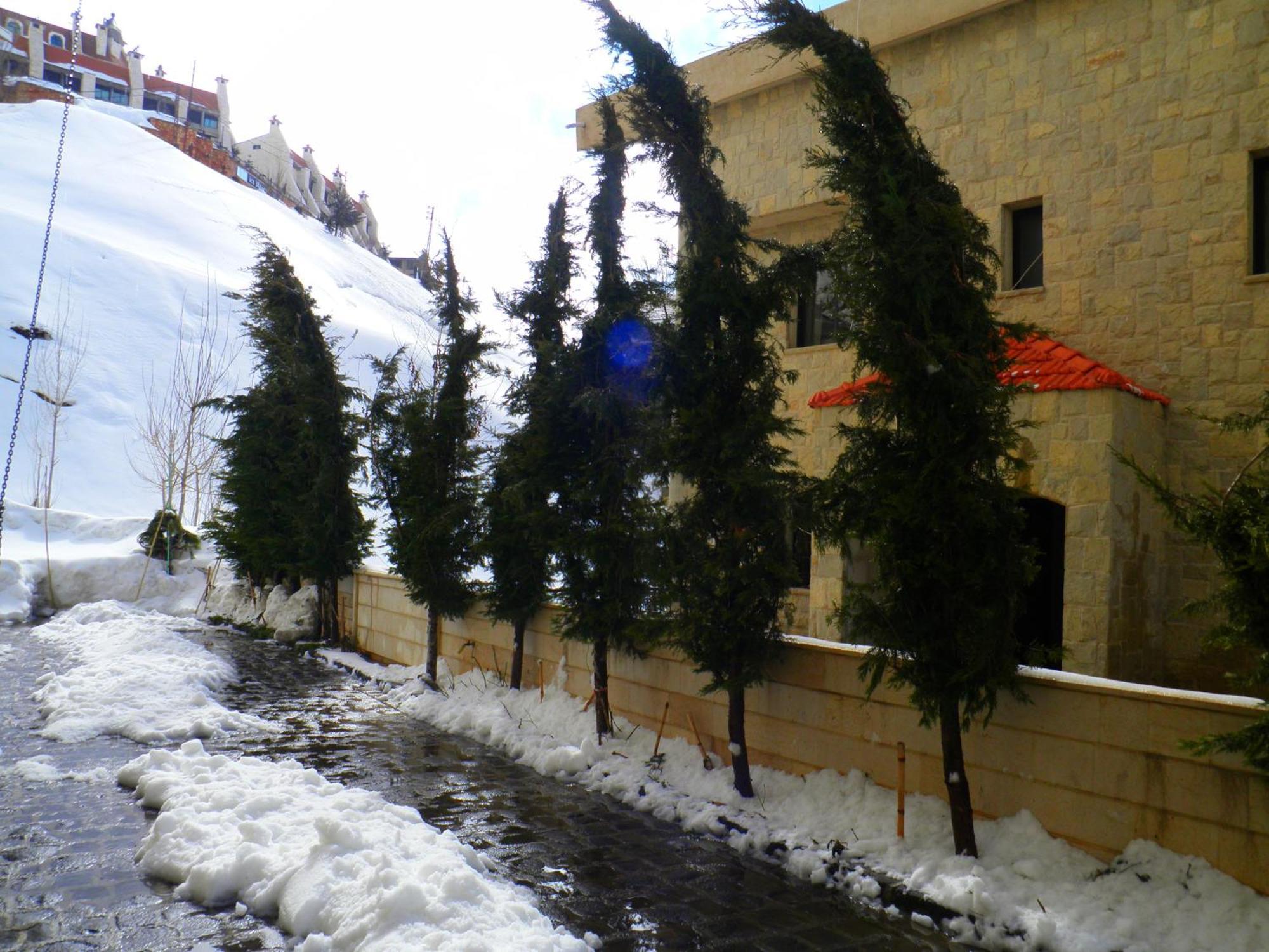 Stone Chalets Faraya Bagian luar foto