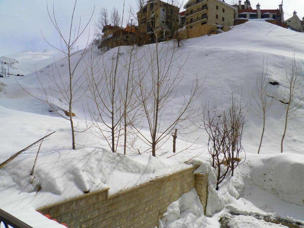 Stone Chalets Faraya Ruang foto