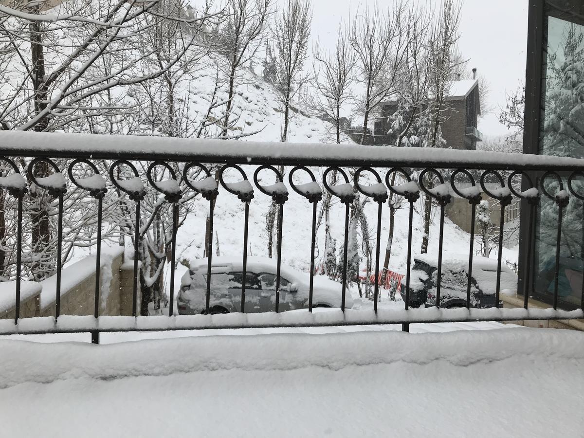 Stone Chalets Faraya Bagian luar foto