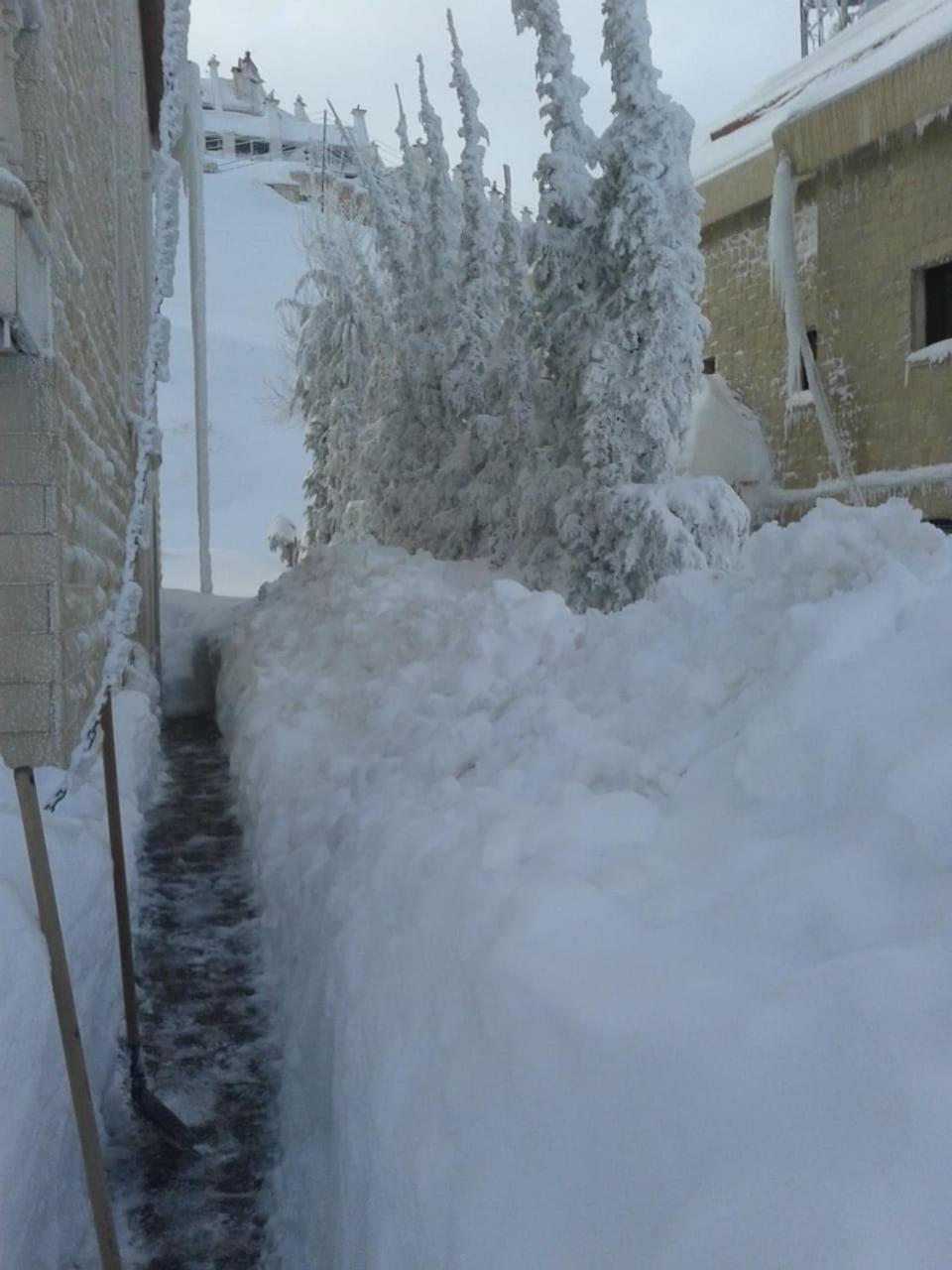 Stone Chalets Faraya Bagian luar foto