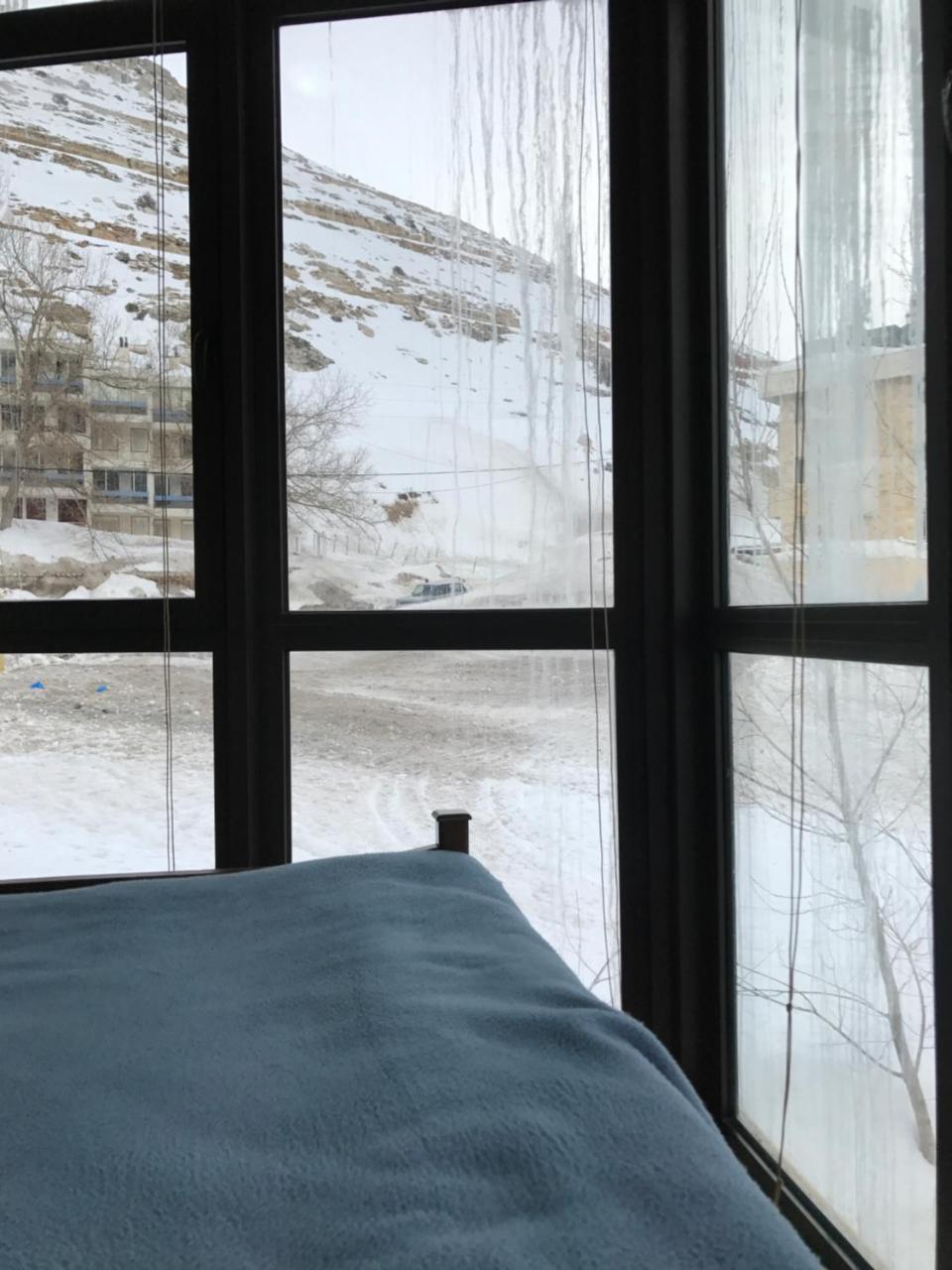 Stone Chalets Faraya Bagian luar foto